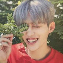 aesthetic-cheol avatar