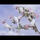 aesthetic-emi avatar