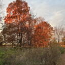 aesthetic-ing-all-over avatar