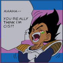 aesthetic-lillie avatar