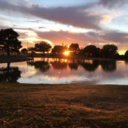 aesthetic-wanna-be avatar