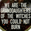 aesthetic-whimsy avatar