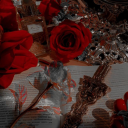 aesthetic0bitch avatar