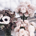 aestheticaelly avatar