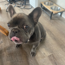 aestheticaf-unicorn avatar