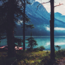 aesthetical-ly avatar