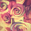 aestheticalgremlin avatar