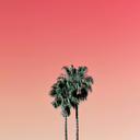 aesthetically---pleased avatar