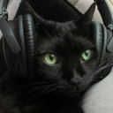 aesthetically-confused-cat avatar