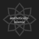 aesthetically-islamic avatar