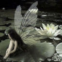 aesthetically-thiin avatar