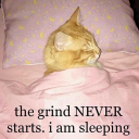 aestheticallypleasinghuman avatar