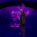 aestheticanonaol avatar