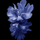 aestheticboy81 avatar