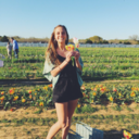 aestheticdreamlander avatar