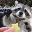 aestheticistsblog avatar