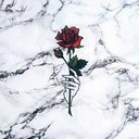 aesthetickoolkid avatar