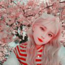 aestheticlifesstuff-blog avatar