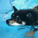 aestheticmastercomputer avatar