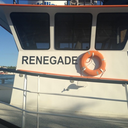 aestheticphukery avatar