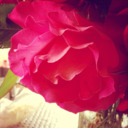 aestheticpursuit avatar