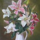 aesthetics-4life avatar