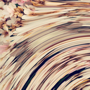 aestheticsaredumb avatar