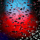 aestheticsarefortheweak avatar