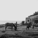 aestheticscreenshot avatar