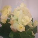 aestheticshmetick avatar