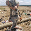 aestheticsonpasta avatar