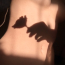 aestheticxcl-blog avatar