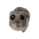 aeternamantes avatar