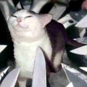 afanofmanyships avatar