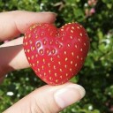 afeildofbugsandtheobscure avatar