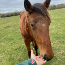 afewstitchmarkersmissing avatar