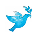 affectionatebucky avatar