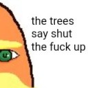 aficionadoenthusiast avatar