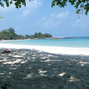 afincf-tirwer avatar