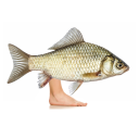 afishwithfeet avatar