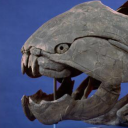 afloatinships avatar