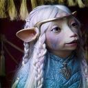 aflockofseagalls avatar