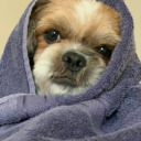 aflowercalledhope avatar