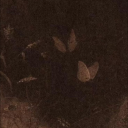 afoolfoolingallbutyou avatar