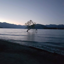 afraidtolive-afraidtodie avatar