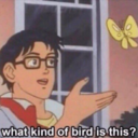 afro-in-the-sky avatar