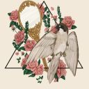 afrodita-tekstovi avatar