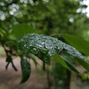 afroditinmagarasi avatar