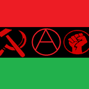 afrosocialism avatar