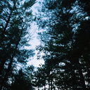 after-all-this-time- avatar